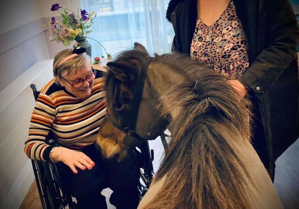Bluebell the Pony visits Longbridge Deverill Care Home