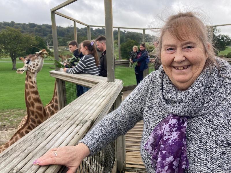 resident at the local zoo with giraffes