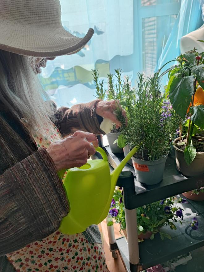 resident watering a plant